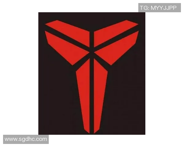 阿迪达斯篮球明星标志的魅力与影响力解析